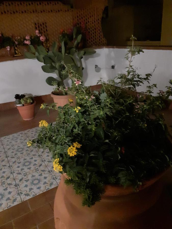 Dolce Far Niente Villa Noto Exteriör bild